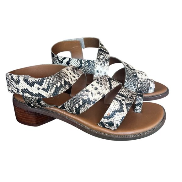 Franco Sarto Snakeskin Laritza Strappy Statement Sandals 7 - Picture 2 of 9